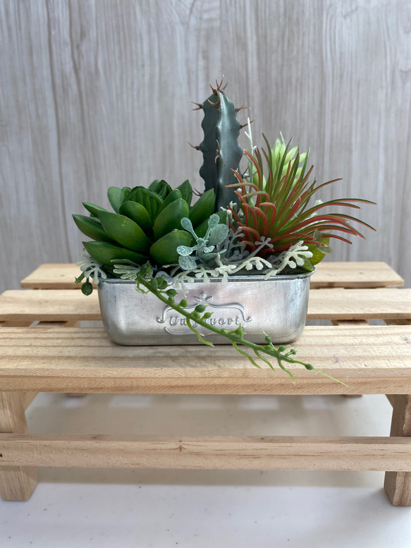 アルミ缶多肉植物アレンジ アートフラワー カガミン 通販