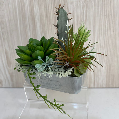 アルミ缶多肉植物アレンジ アートフラワー カガミン 通販