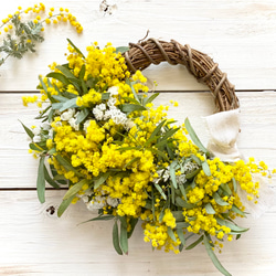 ◇ハーフリース◇ミモザリース◇ナチュラル ◇ミモザのリース◇ミモザ◇ナチュラルリース◇リース◇フラワーリース