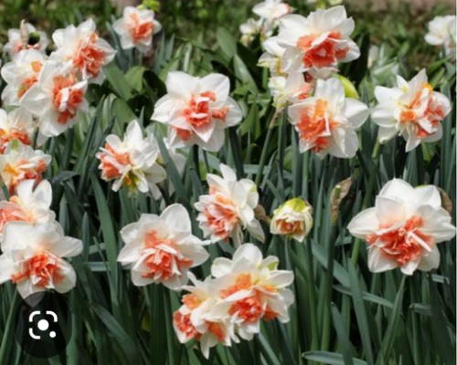 3a84a4eb06172d88ee0890a57ac1d2