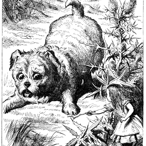 不思議の国のアリス ドライ Tシャツ ジョン テニエル イラスト 犬