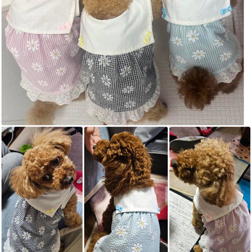 犬服 セーラーカラーワンピース（完成品） ペット服