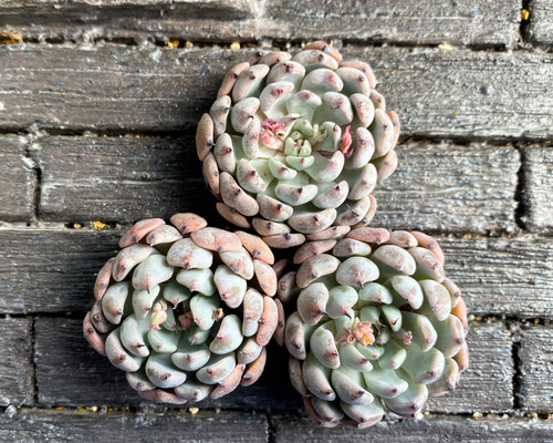 0b61ea740e97ff3f93adc6d9c8b9a6