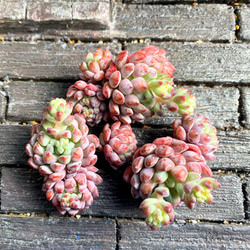 a72b4960c70905bd9100540742f714