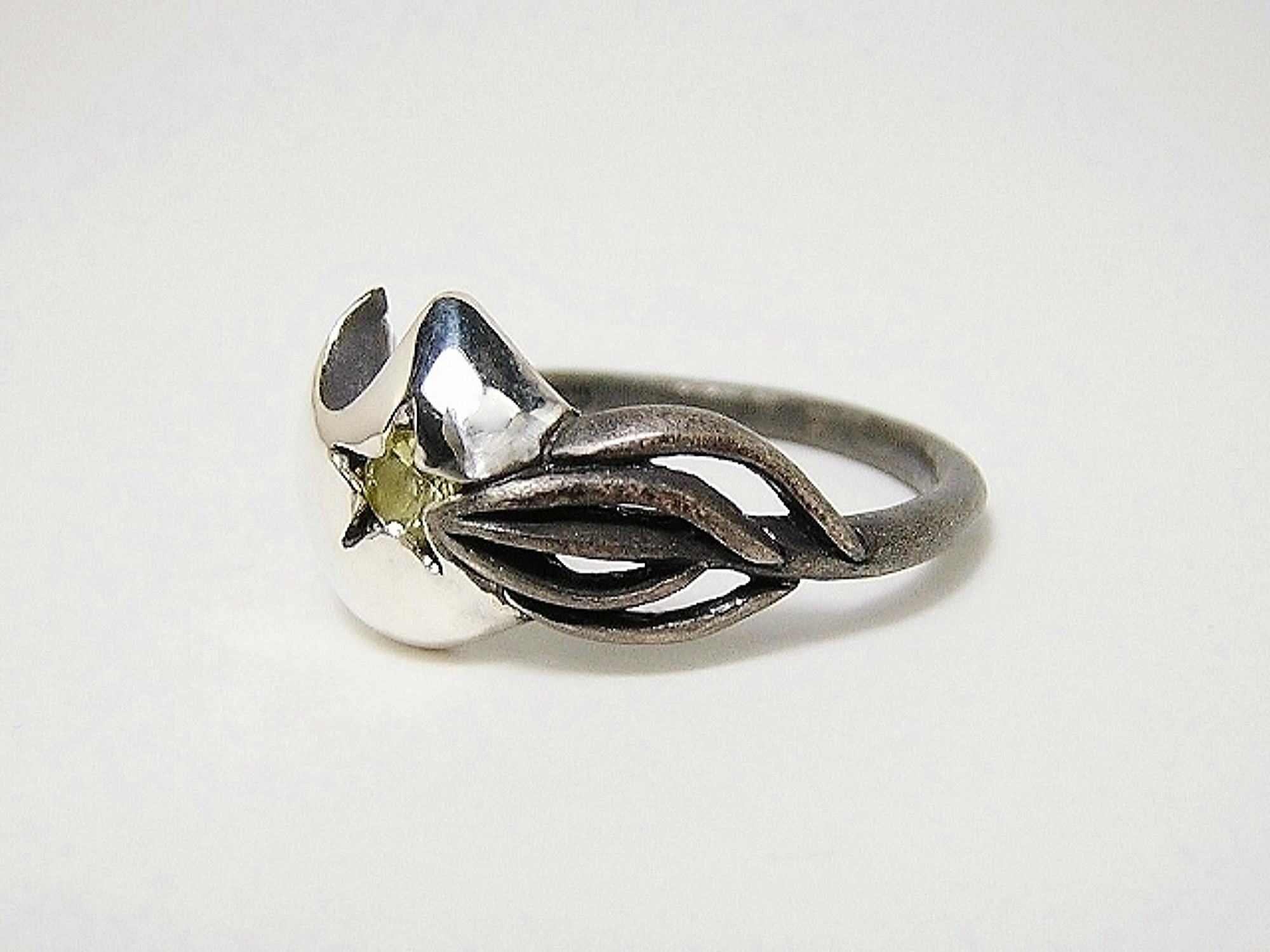 ネコヒゲ星 cat's whiskers' star (猫 ねこ リング 指輪 シルバー 彗星 月 惑星 宇宙 宝石)