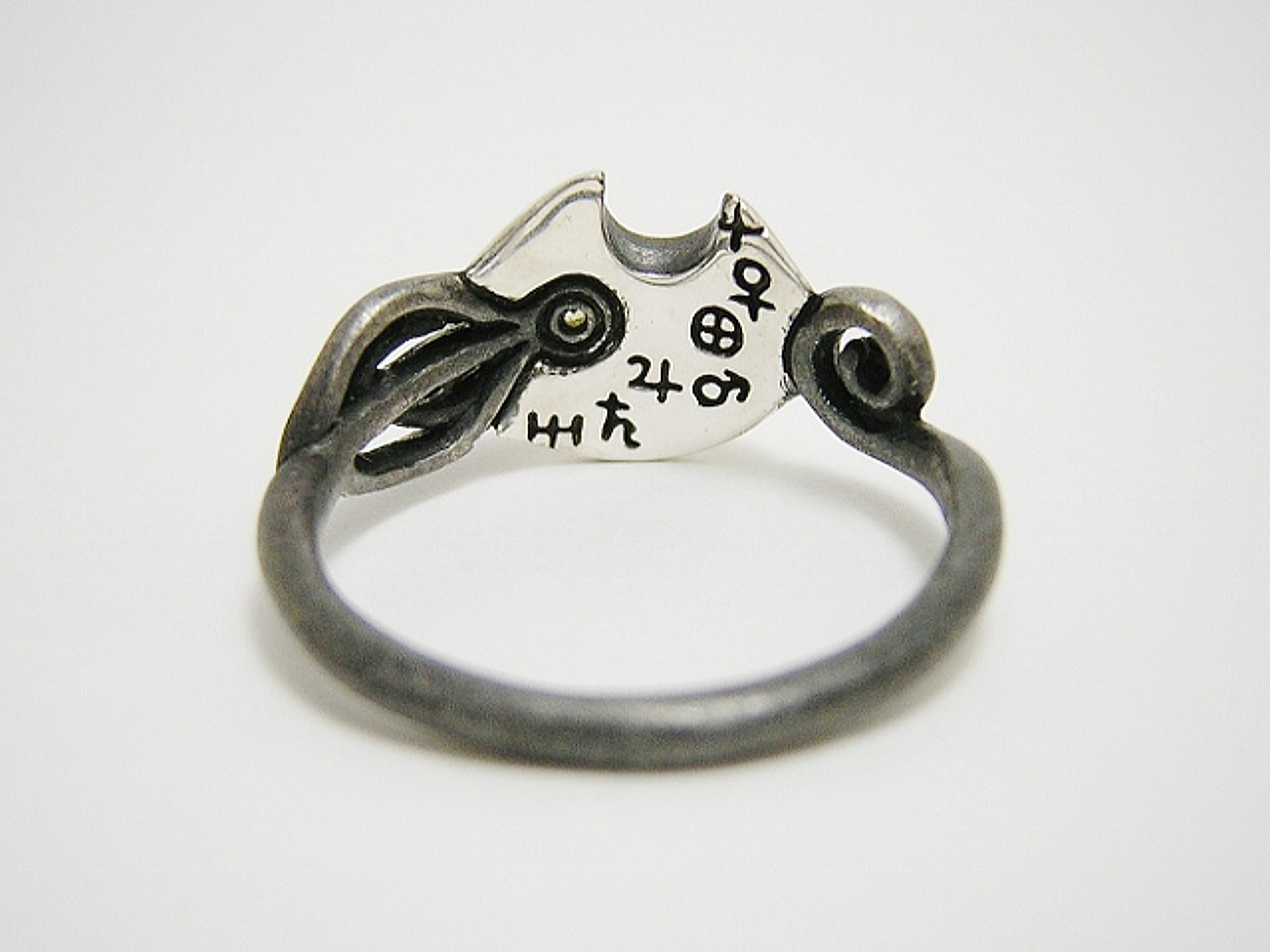 ネコヒゲ星 cat's whiskers' star (猫 ねこ リング 指輪 シルバー 彗星 月 惑星 宇宙 宝石)