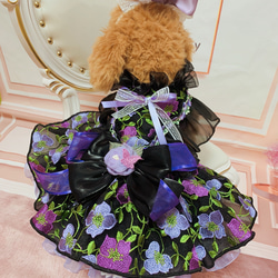 犬猫うさちゃん服　お祝いの日スペシャル胡蝶蘭のカチューシャ&ドレス 11枚目の画像