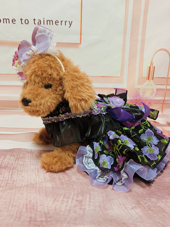 犬猫うさちゃん服　お祝いの日スペシャル胡蝶蘭のカチューシャ&ドレス 14枚目の画像