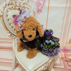 犬猫うさちゃん服　お祝いの日スペシャル胡蝶蘭のカチューシャ&ドレス 8枚目の画像