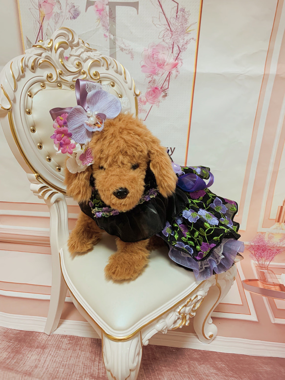 犬猫うさちゃん服　お祝いの日スペシャル胡蝶蘭のカチューシャ&ドレス 8枚目の画像