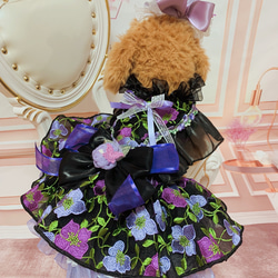 犬猫うさちゃん服　お祝いの日スペシャル胡蝶蘭のカチューシャ&ドレス 4枚目の画像