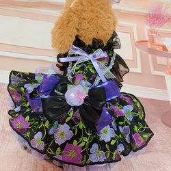 犬猫うさちゃん服　お祝いの日スペシャル胡蝶蘭のカチューシャ&ドレス 12枚目の画像