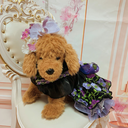 犬猫うさちゃん服　お祝いの日スペシャル胡蝶蘭のカチューシャ&ドレス 20枚目の画像
