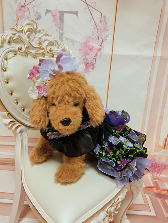 犬猫うさちゃん服　お祝いの日スペシャル胡蝶蘭のカチューシャ&ドレス 20枚目の画像