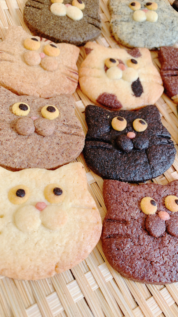 にゃんとも　ゆかいな　猫さんクッキー　15枚入り　⭐︎天然色素使用⭐︎ 3枚目の画像