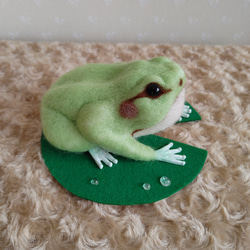 〈値下げ中〉　カエル　ウシガエル　ぬいぐるみ　羊毛フェルト① 値下げ中〉 カエル ウシガエル ぬいぐるみ 羊毛フェルト①