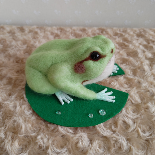 ﾁｮｯﾄﾘｱﾙな雨蛙 羊毛フェルト フジイケ 通販 15641167｜Creema(クリーマ)