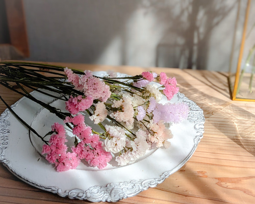 スターチスドライフラワー❣️ニュアンスカラー ニュアンスカラーセット》スターチスドライフラワー ドライフラワー