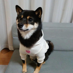 『犬の日2023』inu服 ペット服 パーカー 6枚目の画像