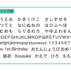 ◎【40-8】収納箱 名入れ 1歳 2歳 3歳 4歳 5歳 国産 積み木 プレゼント 知育 名前いれ 木製 おしゃれ 11枚目の画像