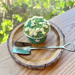 cupcake flowers box 2025 B/フラワーカップケーキ6個セット /【母の日2025】 7枚目の画像