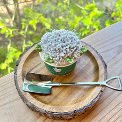 cupcake flowers box 2025 B/フラワーカップケーキ6個セット /【母の日2025】 9枚目の画像