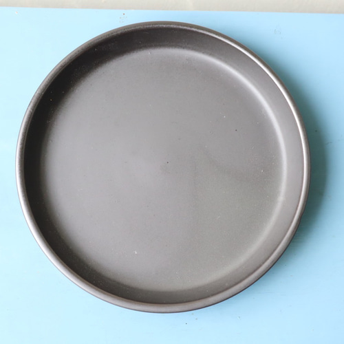 グレビレア ブロンズランバー＊大株＊庭植え＊ガーデニング＊ アート