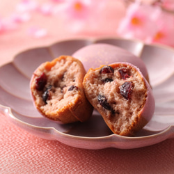 ☆短期間販売☆桜の焼菓子セット☆ 3枚目の画像