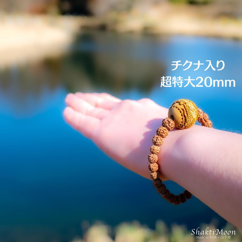 男女・【癒しが欲しい・運気をあげたい】龍騎観音木玉・個性的オーシャンアゲート Amazon.co.jp: 株式会社廣友 樹脂製貴族龍九龍全セット 八角形台座×9