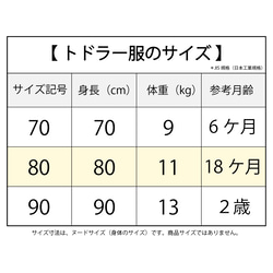 【キット】ティアードスカート（型紙＆作り方のセット）BO-1925 8枚目の画像