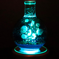 クラゲゆらめく瑠璃色の海世界＊LEDライト付き（無料ギフトラッピング） 12枚目の画像