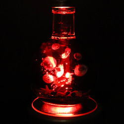 クラゲゆらめく瑠璃色の海世界＊LEDライト付き（無料ギフトラッピング） 13枚目の画像