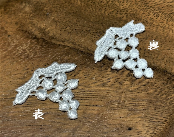  第3張的照片