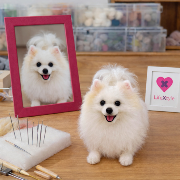 ポメラニアン 愛犬 メモリアル 羊毛フェルト｜写真再現 羊毛フェルト