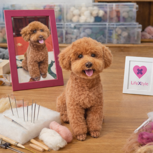 トイプードル 羊毛フェルト｜愛犬 メモリアルオーダー 羊毛フェルト