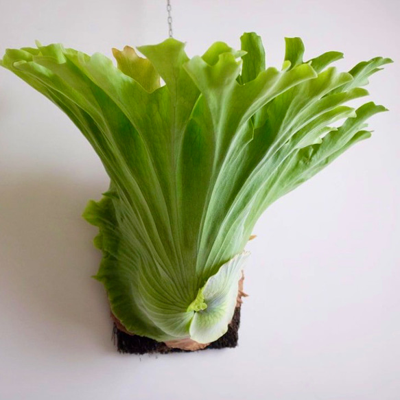 7c229821b15030ecfd020bda32a1b3