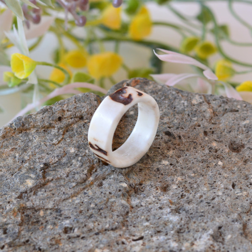 AVM 鹿の角　リング 0_c9e2acc085d3b14b9f22668ad6dd