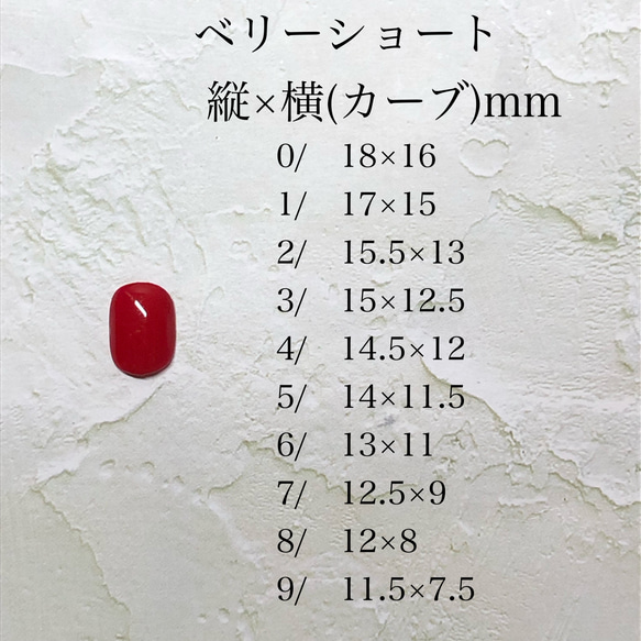 計測用チップ 2枚目の画像