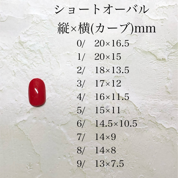 計測用チップ 3枚目の画像