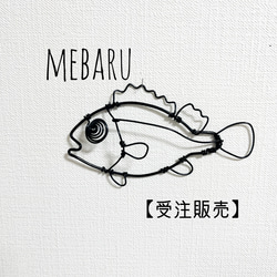 実田千聖 カラー複製イラスト 囚われのパルマ 額装グラフィック