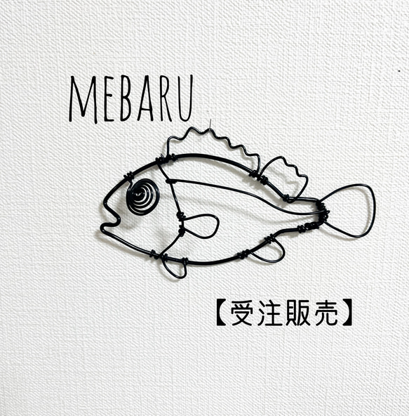 受注販売】メバル 春告魚 立体 壁掛け ワイヤーアート タペストリー