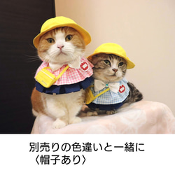 猫服ケープセット　幼稚園（ピンク） 2枚目の画像