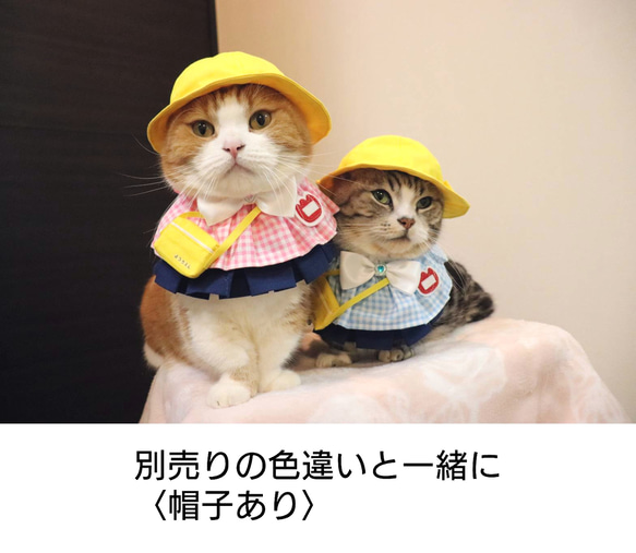 猫服ケープセット　幼稚園（ピンク） 2枚目の画像
