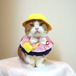 猫服ケープセット　幼稚園（ピンク） 1枚目の画像