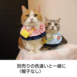 猫服ケープセット　幼稚園（ピンク） 3枚目の画像