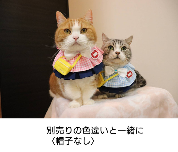 猫服ケープセット　幼稚園（ピンク） 3枚目の画像