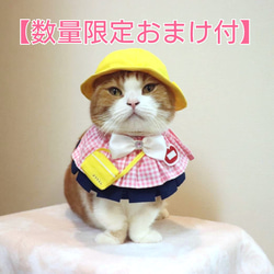 猫服 ケープ マジカル ゆめかわ ピンク ペット服・アクセサリー ねこの