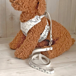 再々販【SS-L】ハーネス＆リードset（グレーフラワー北欧風）／コットン／小型犬／名入れ可／保冷剤 3枚目の画像