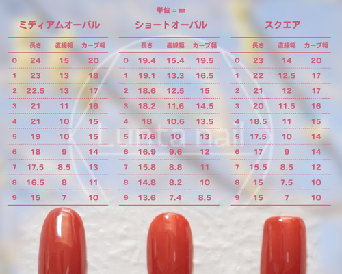 専用♡デザインチップ He3bf02ea5c56405cba8e3fab680ca