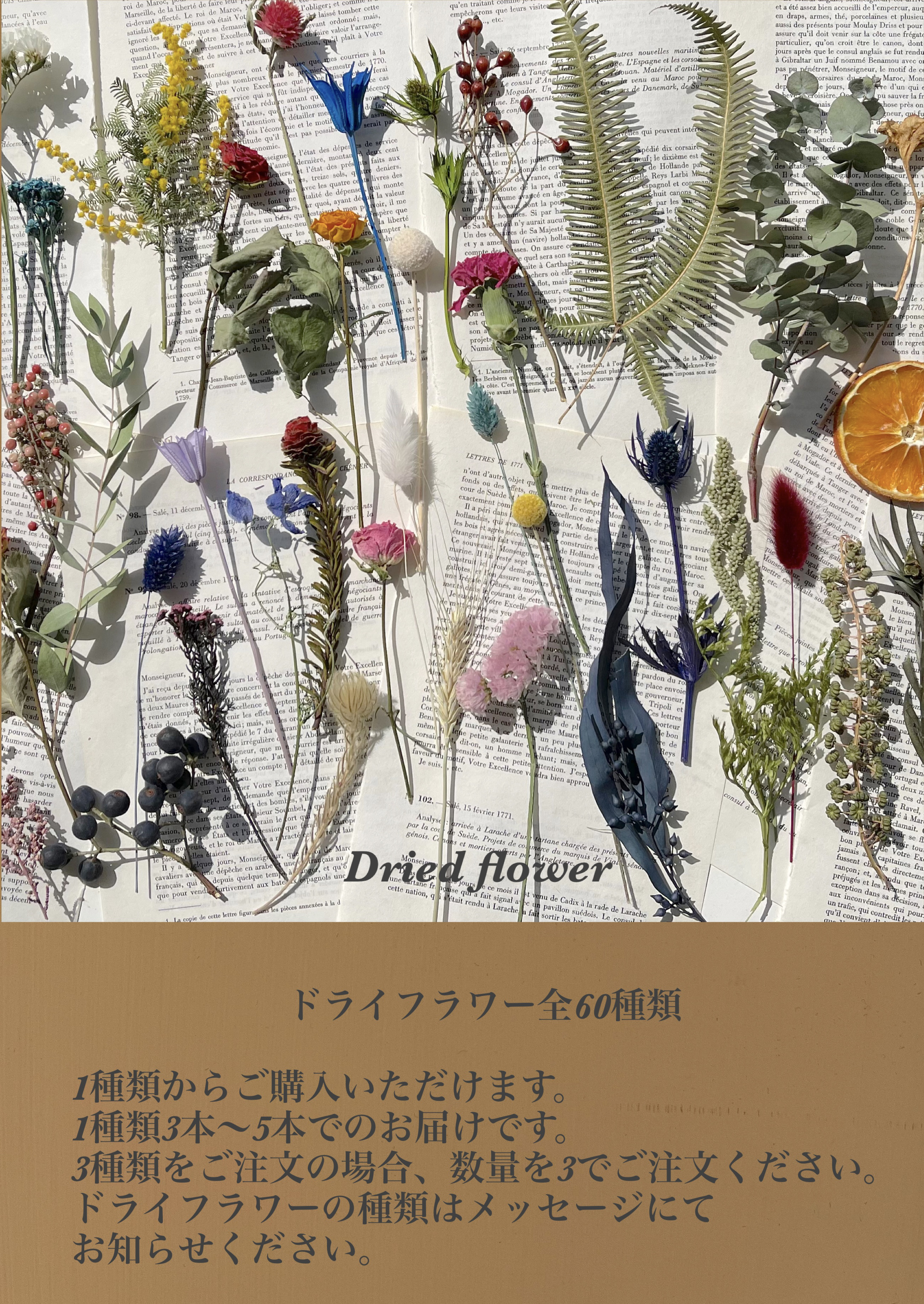 ドライフラワー全60種類〜 1種類から選べる いろんな花材を少しづつ